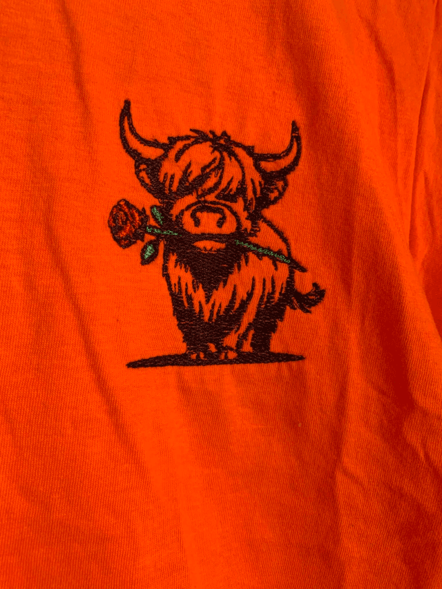 Highland Cow Hoodie
